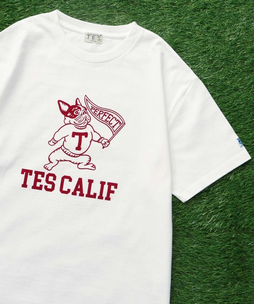 The Endless Summer(エンドレスサマー)の「TES COLLEGE FLOCKY T-SHIRT / Tシャツ(Tシャツ/カットソー・メンズ・アイボリー/ホワイト/ブラック/ネイビー/グレー/レッド・SMALL/MEDIUM/LARGE/X-LARGE/XX-LARGE)」の2枚目の写真