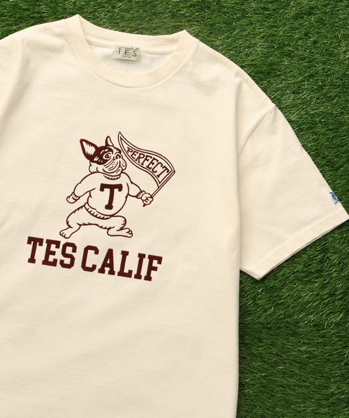The Endless Summer(エンドレスサマー)の「TES COLLEGE FLOCKY T-SHIRT / Tシャツ(Tシャツ/カットソー・メンズ・アイボリー/ホワイト/ブラック/ネイビー/グレー/レッド・SMALL/MEDIUM/LARGE/X-LARGE/XX-LARGE)」の3枚目の写真