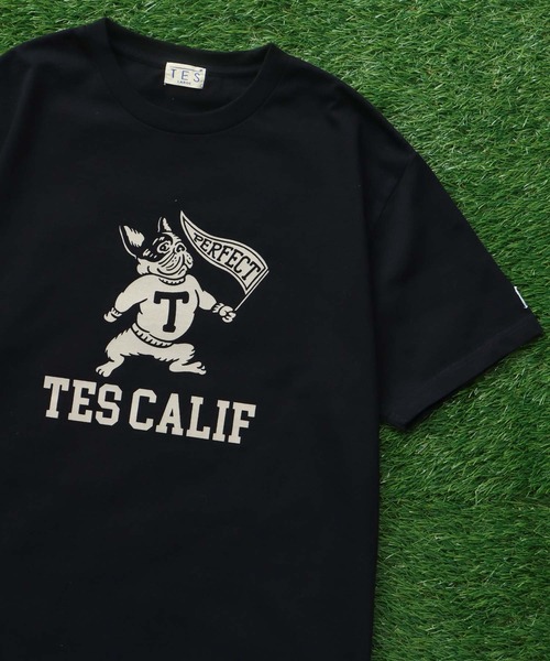 The Endless Summer(エンドレスサマー)の「TES COLLEGE FLOCKY T-SHIRT / Tシャツ(Tシャツ/カットソー・メンズ・アイボリー/ホワイト/ブラック/ネイビー/グレー/レッド・SMALL/MEDIUM/LARGE/X-LARGE/XX-LARGE)」の4枚目の写真