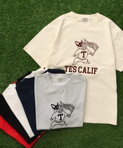 The Endless Summer(エンドレスサマー)の「TES COLLEGE FLOCKY T-SHIRT / Tシャツ(Tシャツ/カットソー・メンズ・アイボリー/ホワイト/ブラック/ネイビー/グレー/レッド・SMALL/MEDIUM/LARGE/X-LARGE/XX-LARGE)」の7枚目の写真