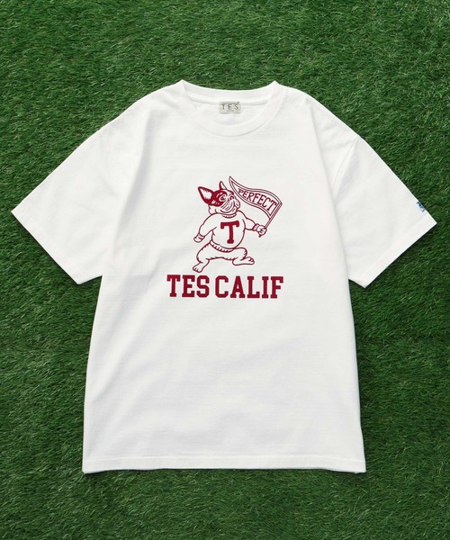 The Endless Summer(エンドレスサマー)の「TES COLLEGE FLOCKY T-SHIRT / Tシャツ(Tシャツ/カットソー・メンズ・アイボリー/ホワイト/ブラック/ネイビー/グレー/レッド・SMALL/MEDIUM/LARGE/X-LARGE/XX-LARGE)」の8枚目の写真