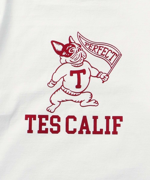 The Endless Summer(エンドレスサマー)の「TES COLLEGE FLOCKY T-SHIRT / Tシャツ(Tシャツ/カットソー・メンズ・アイボリー/ホワイト/ブラック/ネイビー/グレー/レッド・SMALL/MEDIUM/LARGE/X-LARGE/XX-LARGE)」の9枚目の写真