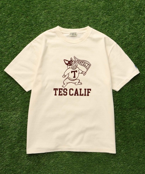 The Endless Summer(エンドレスサマー)の「TES COLLEGE FLOCKY T-SHIRT / Tシャツ(Tシャツ/カットソー・メンズ・アイボリー/ホワイト/ブラック/ネイビー/グレー/レッド・SMALL/MEDIUM/LARGE/X-LARGE/XX-LARGE)」の10枚目の写真