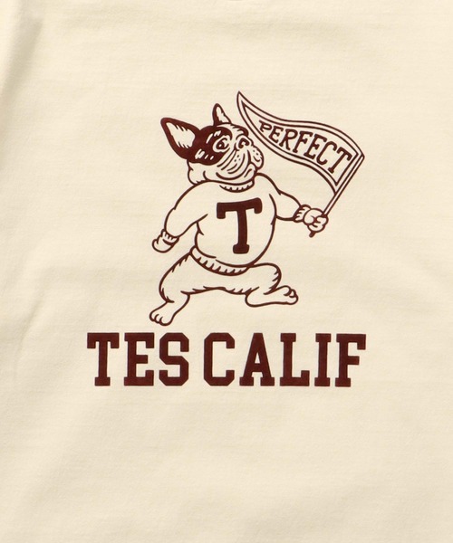 The Endless Summer(エンドレスサマー)の「TES COLLEGE FLOCKY T-SHIRT / Tシャツ(Tシャツ/カットソー・メンズ・アイボリー/ホワイト/ブラック/ネイビー/グレー/レッド・SMALL/MEDIUM/LARGE/X-LARGE/XX-LARGE)」の11枚目の写真