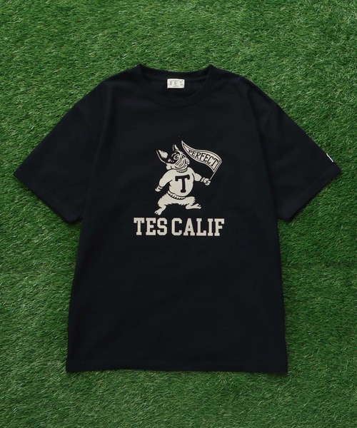 The Endless Summer(エンドレスサマー)の「TES COLLEGE FLOCKY T-SHIRT / Tシャツ(Tシャツ/カットソー・メンズ・アイボリー/ホワイト/ブラック/ネイビー/グレー/レッド・SMALL/MEDIUM/LARGE/X-LARGE/XX-LARGE)」の12枚目の写真