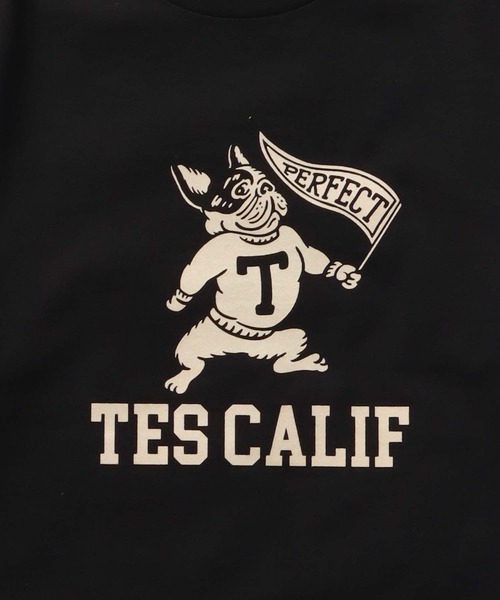 The Endless Summer(エンドレスサマー)の「TES COLLEGE FLOCKY T-SHIRT / Tシャツ(Tシャツ/カットソー・メンズ・アイボリー/ホワイト/ブラック/ネイビー/グレー/レッド・SMALL/MEDIUM/LARGE/X-LARGE/XX-LARGE)」の13枚目の写真