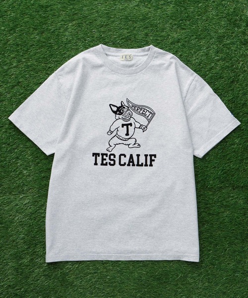 The Endless Summer(エンドレスサマー)の「TES COLLEGE FLOCKY T-SHIRT / Tシャツ(Tシャツ/カットソー・メンズ・アイボリー/ホワイト/ブラック/ネイビー/グレー/レッド・SMALL/MEDIUM/LARGE/X-LARGE/XX-LARGE)」の14枚目の写真