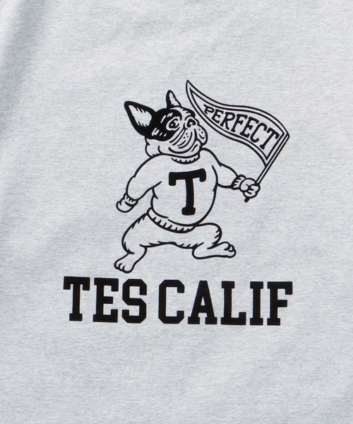 The Endless Summer(エンドレスサマー)の「TES COLLEGE FLOCKY T-SHIRT / Tシャツ(Tシャツ/カットソー・メンズ・アイボリー/ホワイト/ブラック/ネイビー/グレー/レッド・SMALL/MEDIUM/LARGE/X-LARGE/XX-LARGE)」の15枚目の写真
