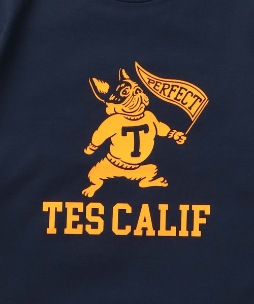 The Endless Summer(エンドレスサマー)の「TES COLLEGE FLOCKY T-SHIRT / Tシャツ(Tシャツ/カットソー・メンズ・アイボリー/ホワイト/ブラック/ネイビー/グレー/レッド・SMALL/MEDIUM/LARGE/X-LARGE/XX-LARGE)」の17枚目の写真