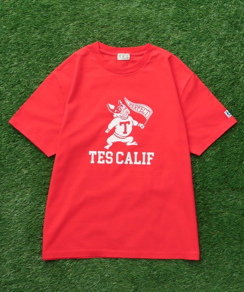 The Endless Summer(エンドレスサマー)の「TES COLLEGE FLOCKY T-SHIRT / Tシャツ(Tシャツ/カットソー・メンズ・アイボリー/ホワイト/ブラック/ネイビー/グレー/レッド・SMALL/MEDIUM/LARGE/X-LARGE/XX-LARGE)」の18枚目の写真
