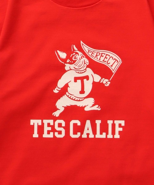 The Endless Summer(エンドレスサマー)の「TES COLLEGE FLOCKY T-SHIRT / Tシャツ(Tシャツ/カットソー・メンズ・アイボリー/ホワイト/ブラック/ネイビー/グレー/レッド・SMALL/MEDIUM/LARGE/X-LARGE/XX-LARGE)」の19枚目の写真