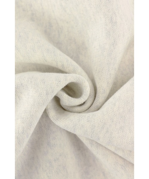 ALEXIA STAM（アリシアスタン）の「[Champion for ALEXIA STAM] Crew Neck Sweatshirt /別注 Championパーカー（パーカー・レディース・ライトグレー/ネイビー・M）」の18枚目の写真