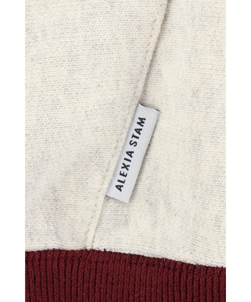 ALEXIA STAM（アリシアスタン）の「[Champion for ALEXIA STAM] Crew Neck Sweatshirt /別注 Championパーカー（パーカー・レディース・ライトグレー/ネイビー・M）」の19枚目の写真