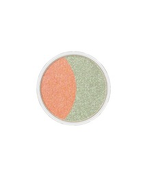 PAUL&JOE（ポールアンドジョー）の「アイカラー リミテッド E（アイシャドウ）」