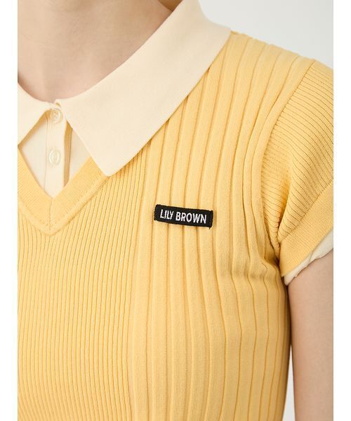 LILY BROWN(リリーブラウン)の「レイヤードニットトップス(ニット/セーター・レディース・その他/オレンジ/ネイビー・F)」の11枚目の写真