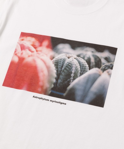 MR.OLIVE（ミスターオリーブ）の「MR.OLIVE×鶴仙園 コラボレーション / SABO-1 プリント フォト グラフィック アートTシャツ（Tシャツ/カットソー・メンズ・ブラック/オフホワイト・X-LARGE/LARGE/MEDIUM）」の4枚目の写真