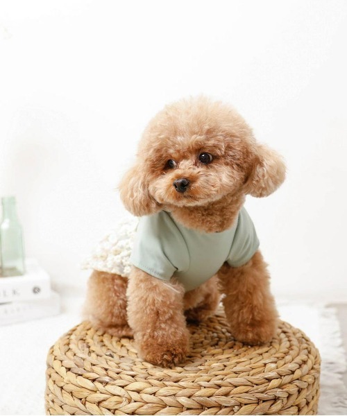 moncheri（モンシェリ）の「冷感フラワー刺繍トップスワンピース / 犬
