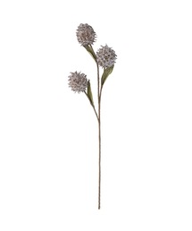 a.depeche（アデペシュ）の「【a.depeche/アデペシュ】アーティフィシャルフラワー / 造花  colorer エキノプス・リトロ(03-01ER-BR)（フラワーベース）」