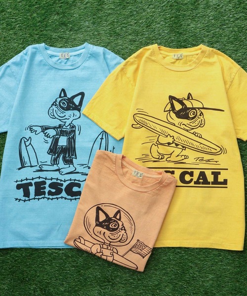 TES （The Endless Summer） アートフレーム TES （The Endless Summer） アートフレーム - メルカリ