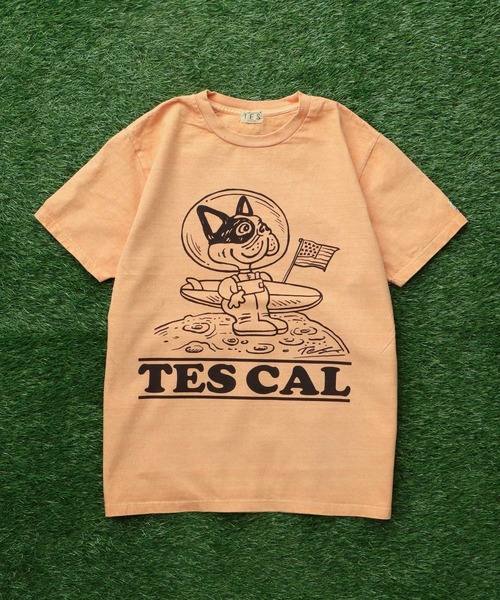 TES （The Endless Summer） アートフレーム TES-RYU-SURF-SUMO – SHARES DESIGN