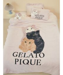 gelato pique Sleep(WF[gsPX[v)́ySleepzCAT3 WK[h}`Jo[(Q)