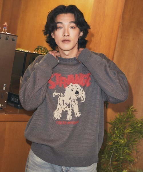 MAHAGRID(マハグリッド)の「mahagrid 『mahagrid/マハグリッド』 Strange Puppy Knit Set/ストレンジパピーニットセット(ニット/セーター・レディース・チャコールグレー/アイボリー・S/M/L)」の2枚目の写真