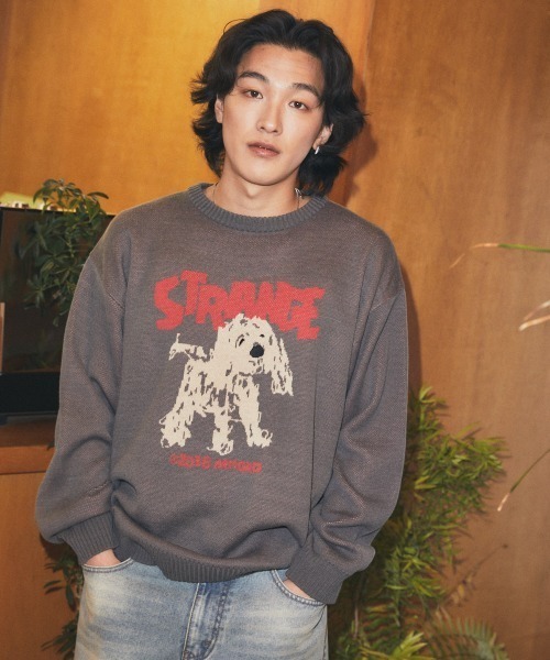 MAHAGRID(マハグリッド)の「mahagrid 『mahagrid/マハグリッド』 Strange Puppy Knit Set/ストレンジパピーニットセット(ニット/セーター・レディース・チャコールグレー/アイボリー・S/M/L)」の8枚目の写真