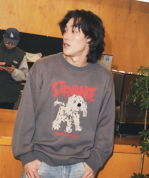 MAHAGRID(マハグリッド)の「mahagrid 『mahagrid/マハグリッド』 Strange Puppy Knit Set/ストレンジパピーニットセット(ニット/セーター・レディース・チャコールグレー/アイボリー・S/M/L)」の10枚目の写真