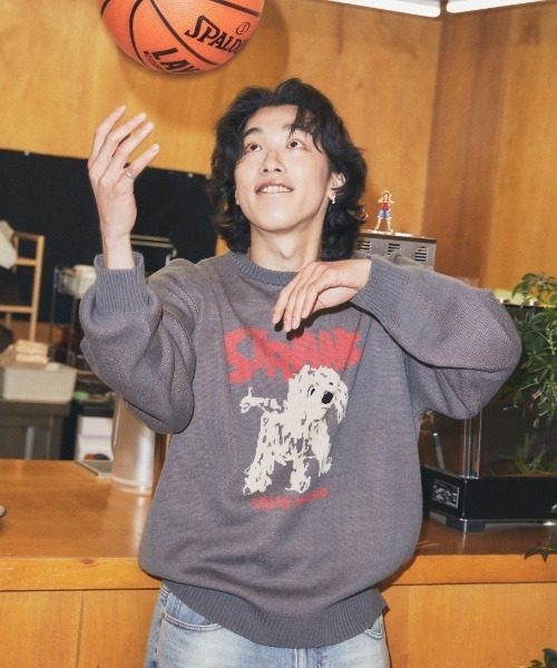 MAHAGRID(マハグリッド)の「mahagrid 『mahagrid/マハグリッド』 Strange Puppy Knit Set/ストレンジパピーニットセット(ニット/セーター・レディース・チャコールグレー/アイボリー・S/M/L)」の11枚目の写真