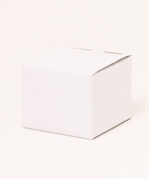 SKAGEN(スカーゲン)の「スカーゲン 腕時計 レディース アナログ ステンレス SKW3179(アナログ腕時計・レディース・シルバー・FREE)」の11枚目の写真