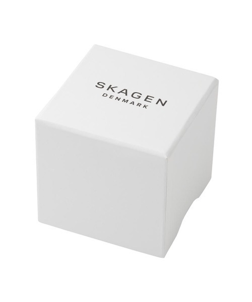 SKAGEN（スカーゲン）の「スカーゲン 腕時計 レディース アナログ レザー SKW2794（アナログ腕時計・レディース・グレー系その他・FREE）」の16枚目の写真