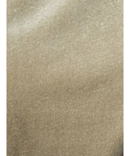 dazzlin（ダズリン）の「ベロアフリルショートトップス（Tシャツ/カットソー・レディース・ブラック/ベージュ/パープル/ブルー/グリーン・FREE）」の15枚目の写真