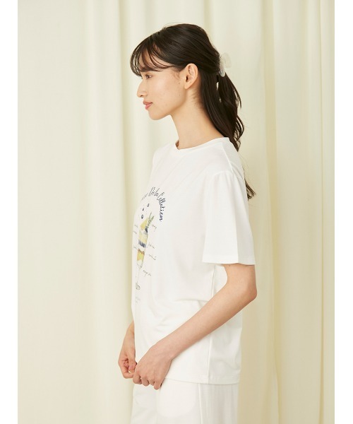 スナイデルホーム＊パフェプリントルームウェア上下セット(セットアップ SNIDEL HOME（スナイデルホーム）の「パフェプリントTシャツ