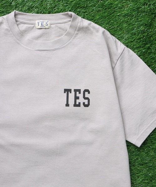 The Endless Summer(エンドレスサマー)の「TES ALLSTAR COLLEGE T-SHIRT/ Tシャツ(Tシャツ/カットソー・メンズ・ホワイト/アイボリー/ライトグレー/ピンク・SMALL/MEDIUM/LARGE/X-LARGE/XX-LARGE)」の13枚目の写真
