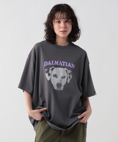 GEORGE'S(ジョージズ)の「スクリーンスターズ アニマルロゴTシャツ(Tシャツ/カットソー・メンズ・オフホワイト/インディゴブルー/チャコールグレー・LARGE/MEDIUM)」の3枚目の写真