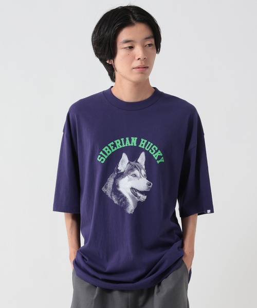 GEORGE'S(ジョージズ)の「スクリーンスターズ アニマルロゴTシャツ(Tシャツ/カットソー・メンズ・オフホワイト/インディゴブルー/チャコールグレー・LARGE/MEDIUM)」の1枚目の写真