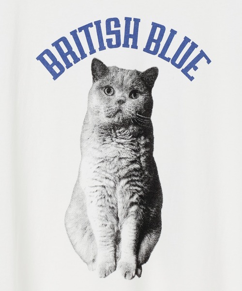 GEORGE'S(ジョージズ)の「スクリーンスターズ アニマルロゴTシャツ(Tシャツ/カットソー・メンズ・オフホワイト/インディゴブルー/チャコールグレー・LARGE/MEDIUM)」の11枚目の写真
