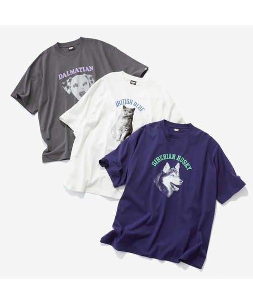 GEORGE'S(ジョージズ)の「スクリーンスターズ アニマルロゴTシャツ(Tシャツ/カットソー・メンズ・オフホワイト/インディゴブルー/チャコールグレー・LARGE/MEDIUM)」の13枚目の写真