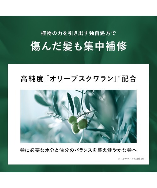 BOTANIST(ボタニスト)の「BOTANIST ボタニスト ボタニカル ヘアオイル ヘアミルク(ヘアオイル/ヘアミルク・レディース・モイスト ヘアミルク/ダメージケア ヘアミルク/スムース ヘアミルク/ダメージケア ヘアオイル/スムース ヘアオイル/モイスト ヘアオイル・FREE)」の13枚目の写真
