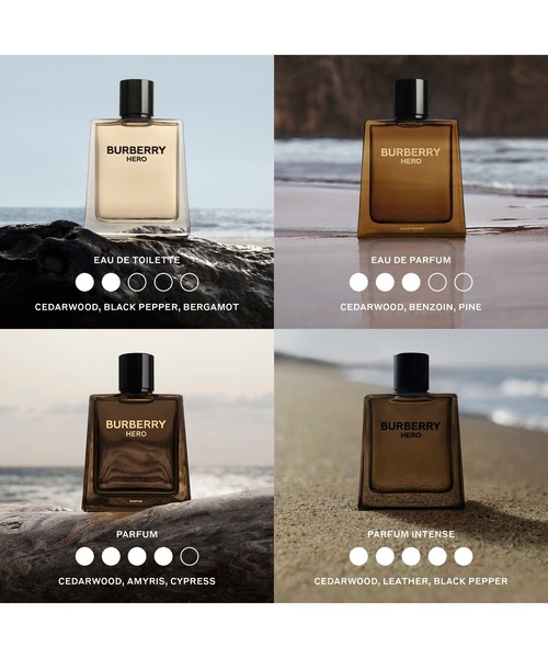 BURBERRY HERO オードパルファム 100ml BURBERRY HERO オードパルファム 100ml Burberry Hero Eau de Toilette