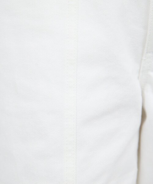 GALLARDAGALANTE(ガリャルダガランテ)の「センタースウィッチデニム(デニムパンツ・レディース・ホワイト/ブルー・1/0)」の19枚目の写真