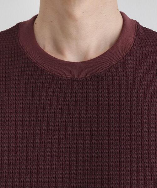 TAKEO KIKUCHI（タケオキクチ）の「ニットライク プルオーバー（Tシャツ/カットソー・メンズ・オフホワイト/ネイビー/ボルドー・03/04/02）」の20枚目の写真