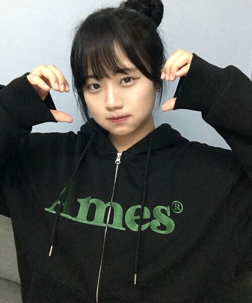AMESWORLDWIDE（アメスワールドワイド）の「BASIC LOGO HOODIE ZIP UP BLACK（パーカー・メンズ・その他・SMALL/MEDIUM/LARGE）」の16枚目の写真