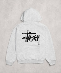 【STUSSY】ステューシー  BASIC LOGO raising of HOODIE / STTUSSY.02