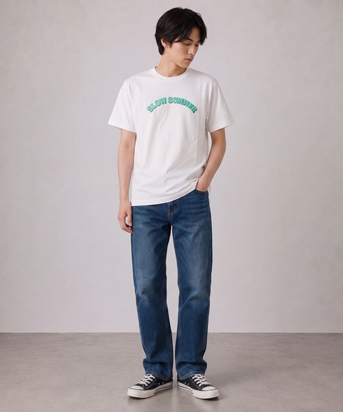 INTERPLAY(インタープレイ)の「【INTERPLAY】SLOW SUMMER S/S Tee(Tシャツ/カットソー・レディース・ホワイト/ライトブルー/グレー/ピンク/ライトグリーン・SMALL/LARGE)」の6枚目の写真
