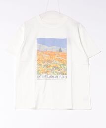 転写デイリープリントTシャツ