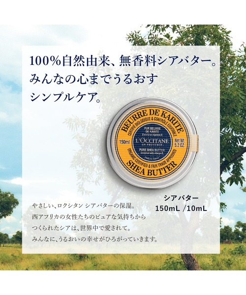 シアバター 150mL（ボディケア/ボディクリーム）｜L'OCCITANE
