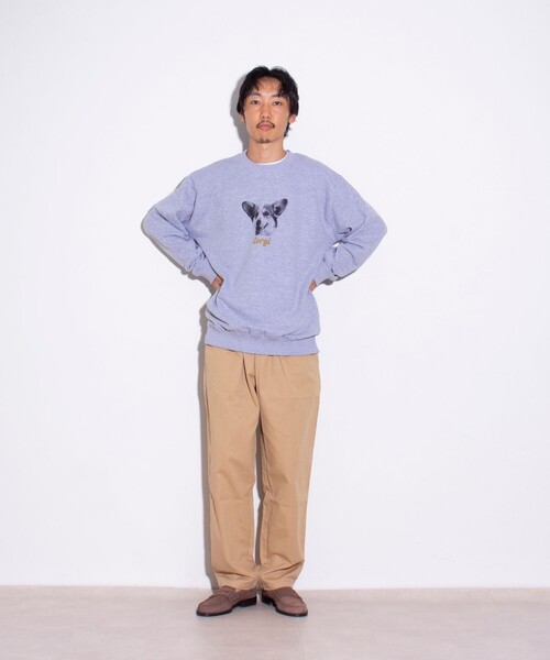 GLOSTER（グロスター）の「【GLOSTER/グロスター】DOG&CAT 犬猫プリント クルーネックスウェット（スウェット・メンズ・グレー系その他2/グレー系その他3/グレー系その他4/ホワイト系その他2/ホワイト系その他/その他/グレー系その他・S/M/L）」の10枚目の写真