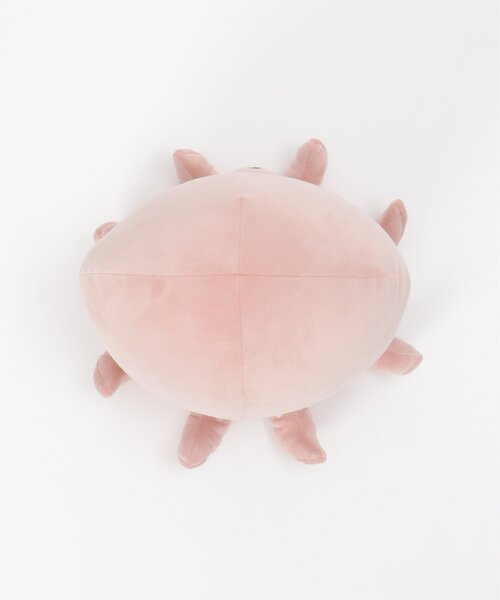 LBC（エルビーシー）の「タコ クッション M（クッション/クッションカバー・レディース・Red・FREE）」の10枚目の写真