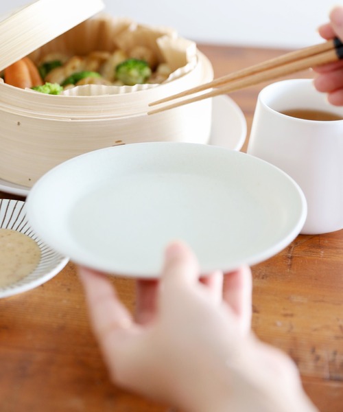 レパンテス テリポゴニフローラ テラプレート付 レパンテス テリポゴニフローラ テラプレート付 レパンテス テリポゴニ